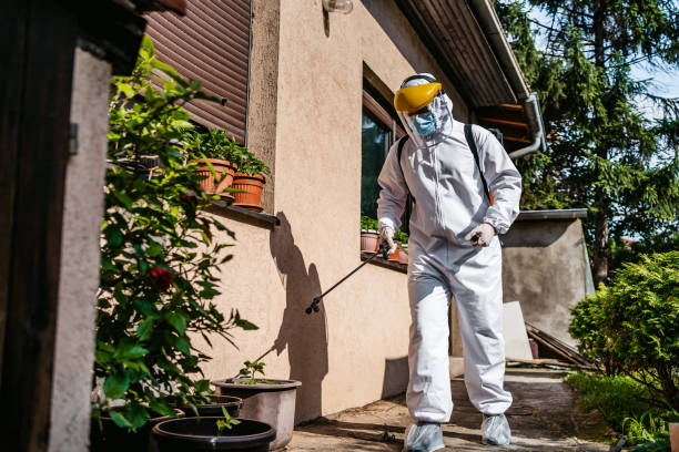 Best Best Pest Control Companies  in Pennington, NJ