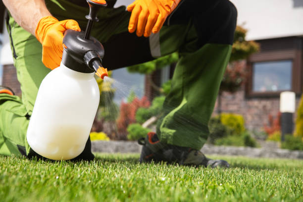 Best Bed Bug Extermination  in Pennington, NJ