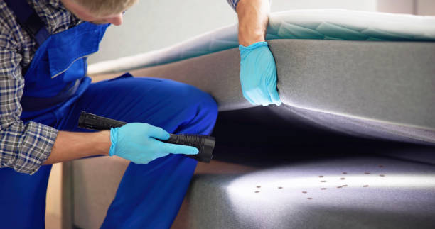 Best Emergency Pest Control  in Pennington, NJ