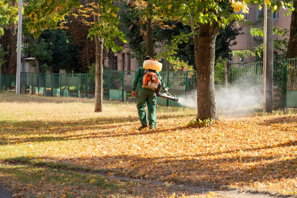 Best Best Pest Control Companies  in Pennington, NJ