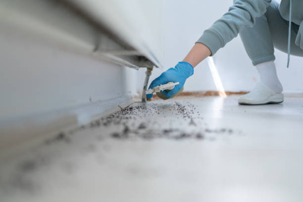 Best Wasp Removal Services  in Pennington, NJ