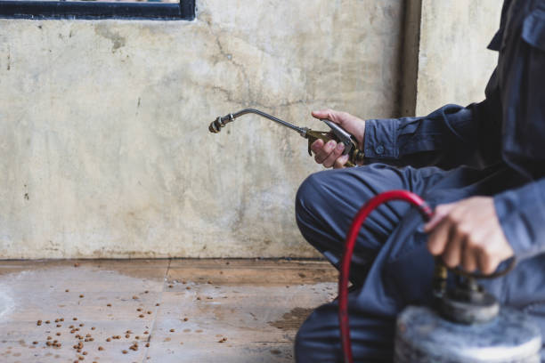 Best Termite Control Services  in Pennington, NJ