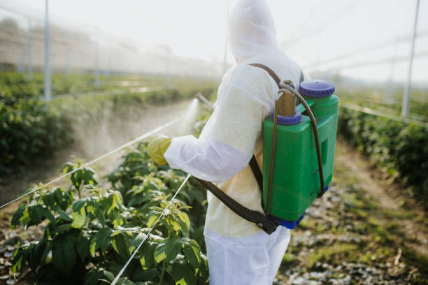 Best Mosquito Control Services  in Pennington, NJ